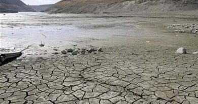 1861497 climatechangereuterscopy 1544094260