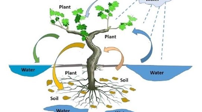 Threats to soil’s fertility, food security