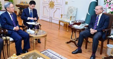 Pm, china amb