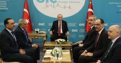 Pakistan, turkiye reiterate support for iran's right to self defence